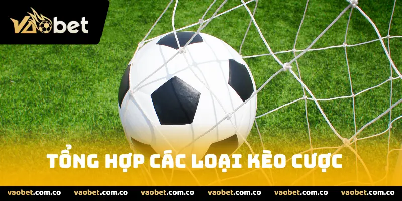 Tổng hợp các loại kèo cược